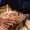 Osteopath performing delicate cranial adjustment - Technique to alleviate tension and enhance relaxation.